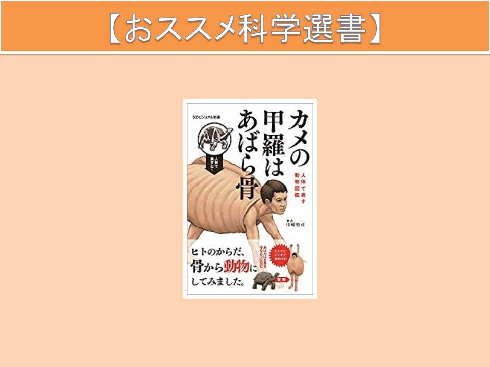 生き物の大きさには意味がある ゾウの時間ネズミの時間 本川達雄著